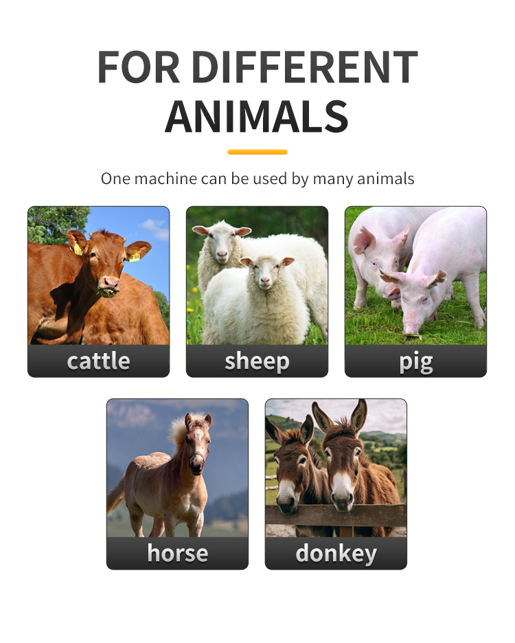 Large Animal Ovulation Detection Device