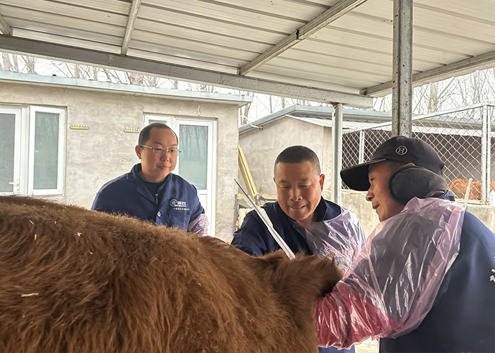 Cattle Artificial Insemination Training Course Cattle Artificial Insemination Training Course
