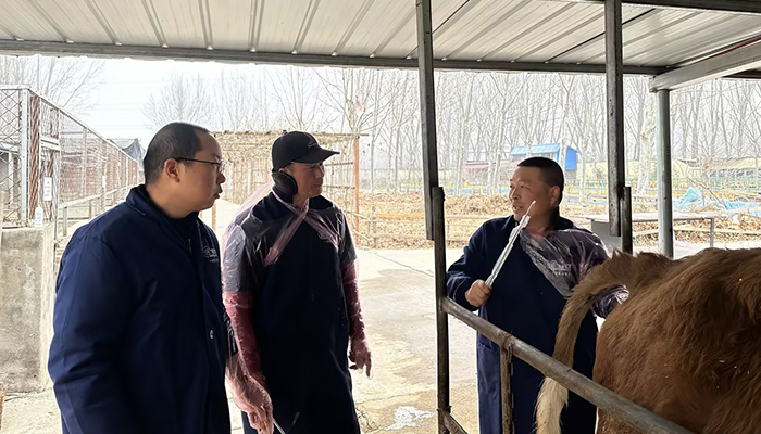 Cattle Artificial Insemination Training Course Cattle Artificial Insemination Training Course