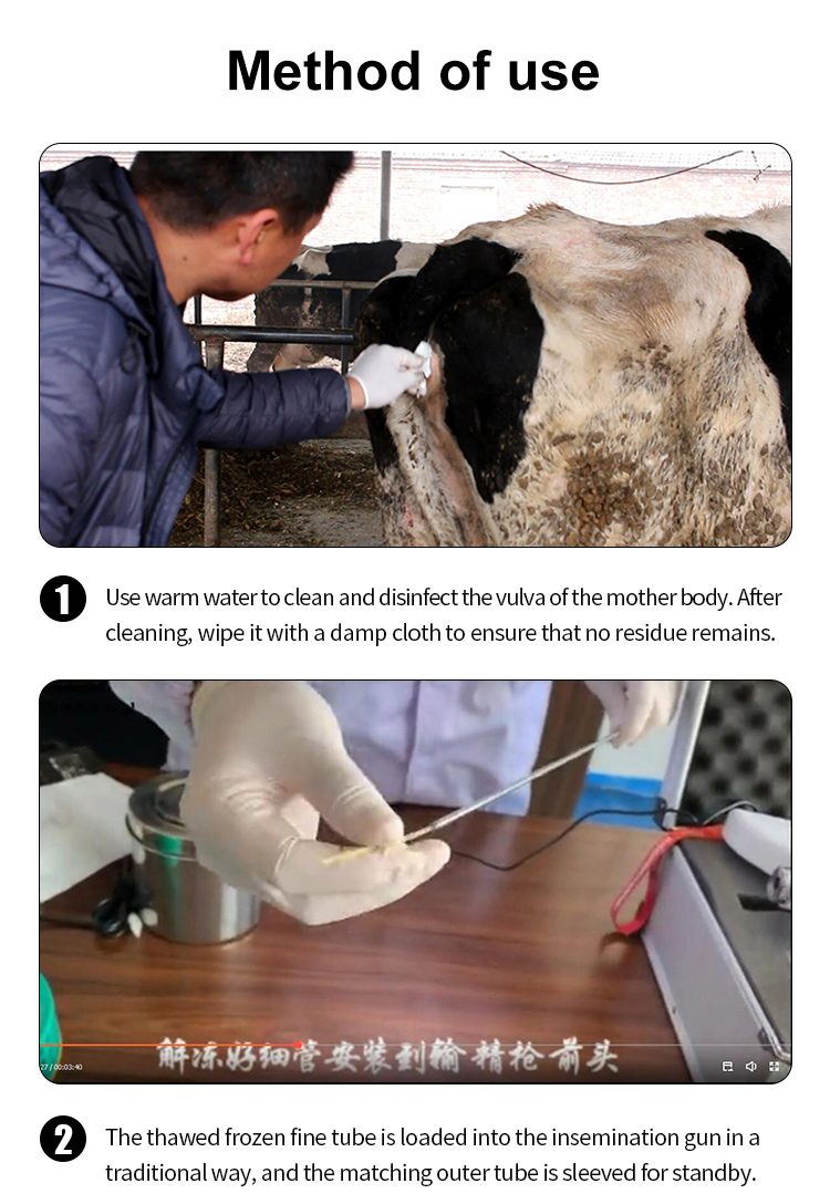 Cattle Visual AI Insemination Gun Cattle Visual AI Insemination Gun