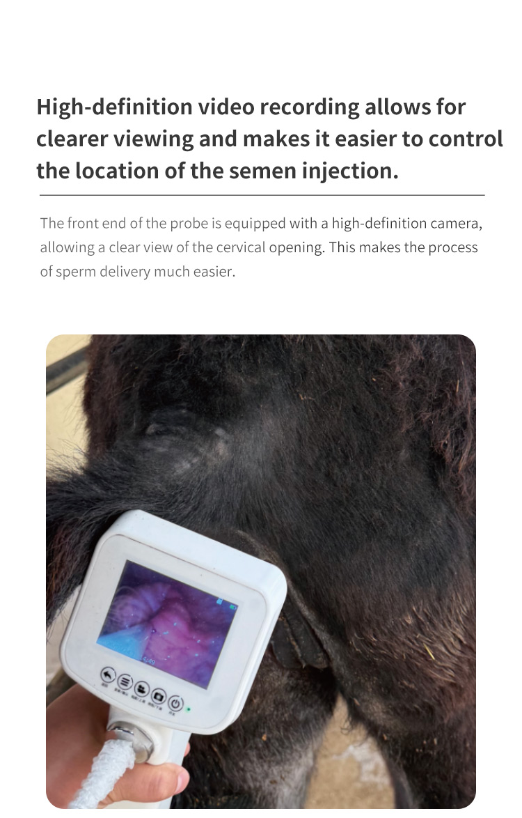 Donkey Horse Visual AI Insemination Gun Donkey Horse Visual AI Insemination Gun
