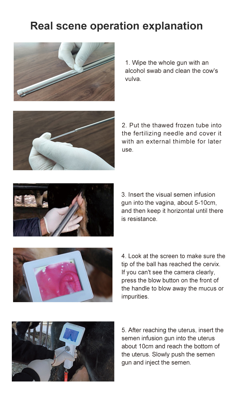 Portable Visual Cattle Insemination Gun
