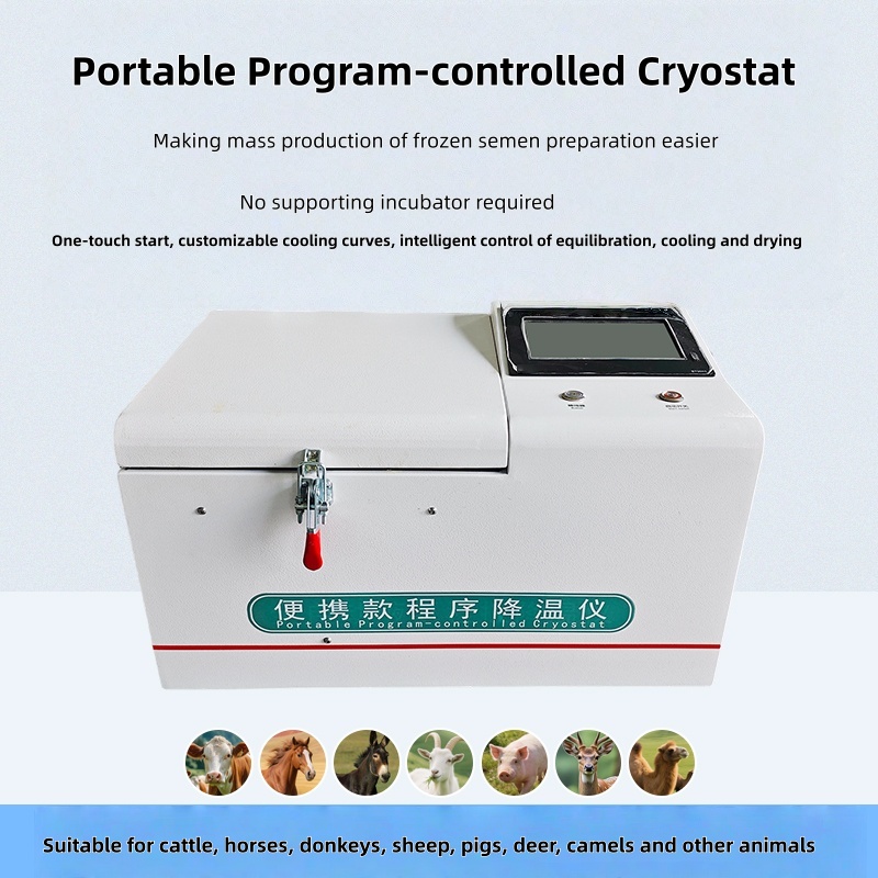 Portable Programmable Cooling Device Portable Programmable Cooling Device
