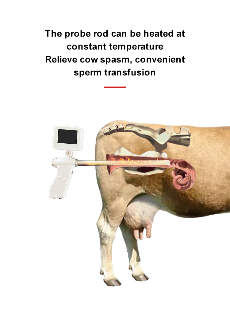 Cattle Visual AI Insemination Gun Cattle Visual AI Insemination Gun