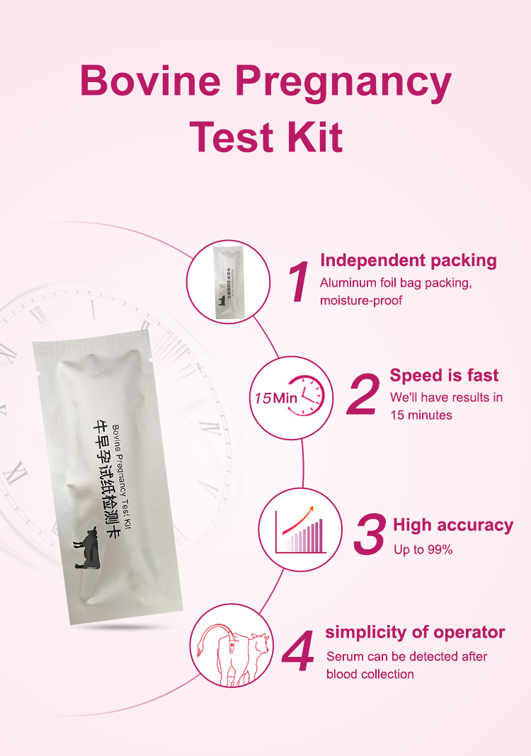 Bovine Pregnancy Test Strip
