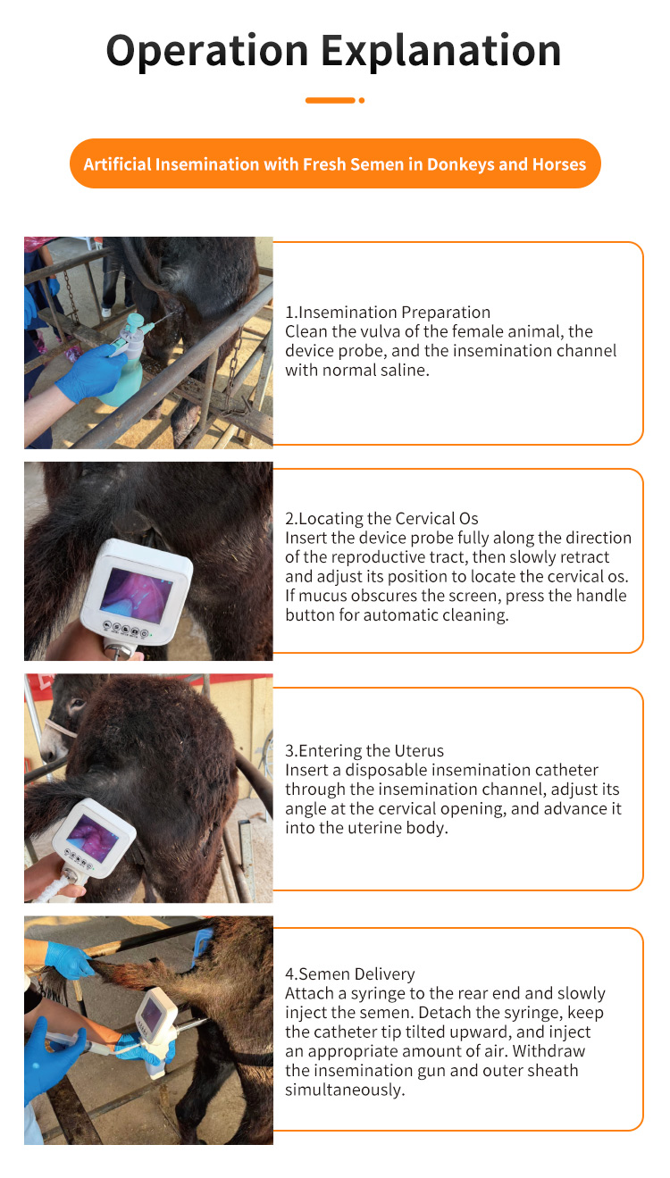 Donkey Horse Visual AI Insemination Gun Donkey Horse Visual AI Insemination Gun