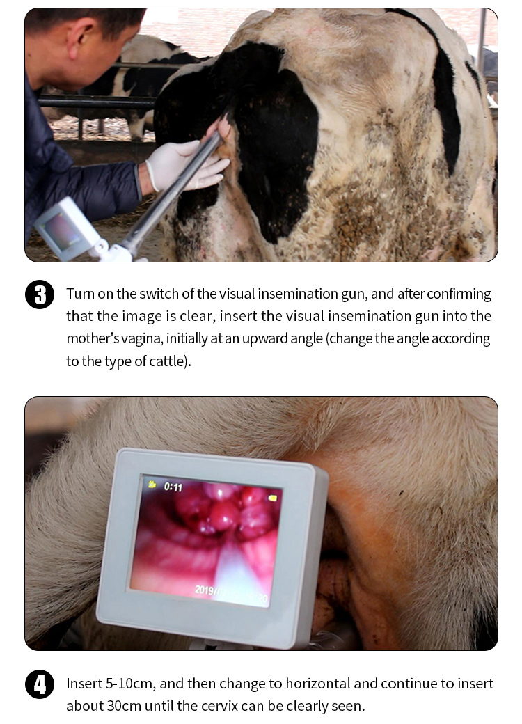 Cattle Visual AI Insemination Gun Cattle Visual AI Insemination Gun