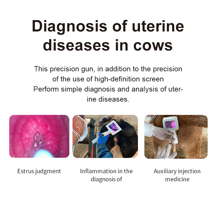 Portable Visual Cattle Insemination Gun