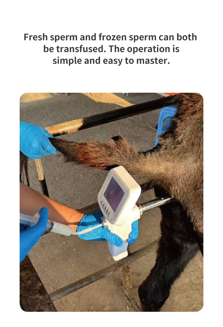 Donkey Horse Visual AI Insemination Gun Donkey Horse Visual AI Insemination Gun