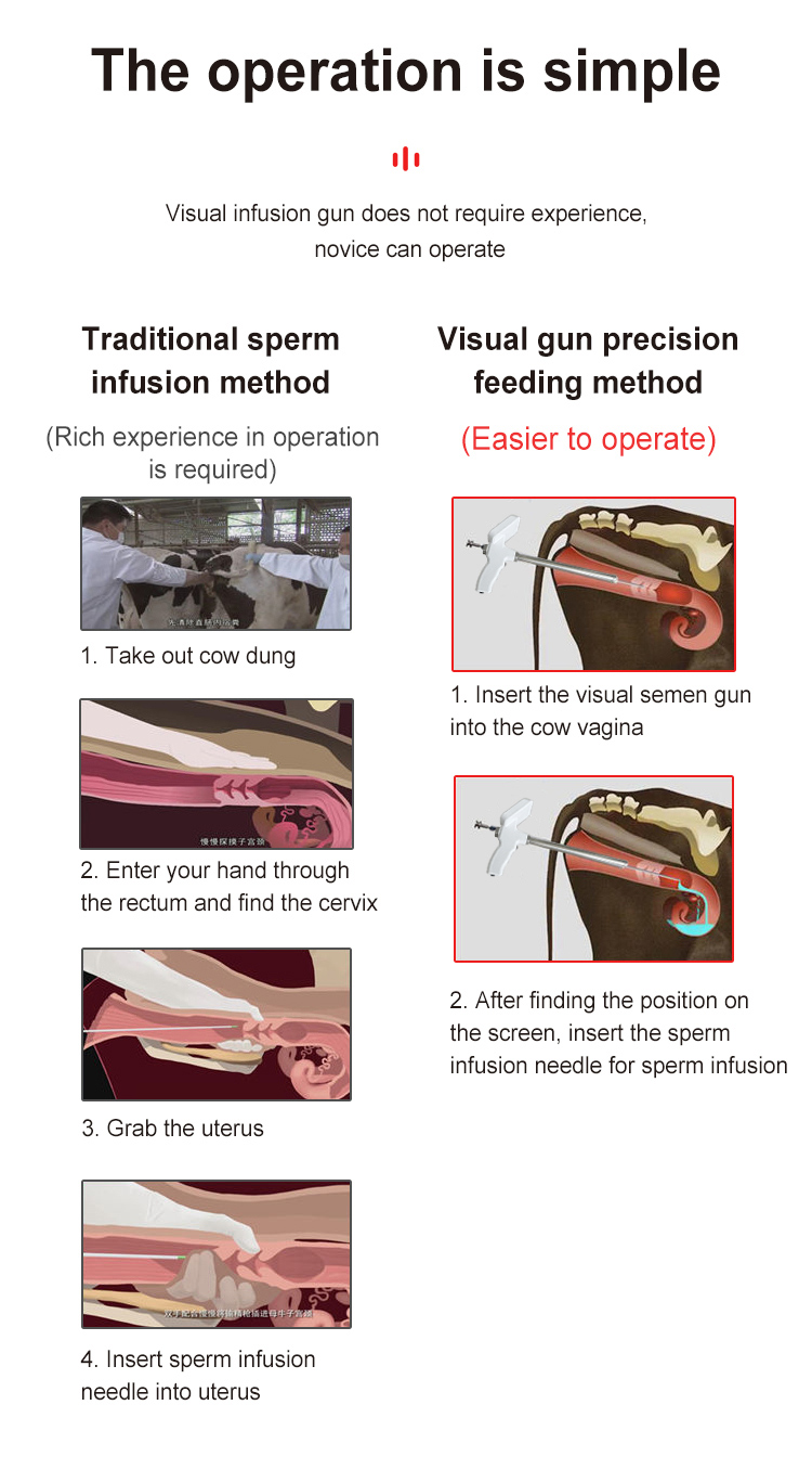 Portable Visual Cattle Insemination Gun