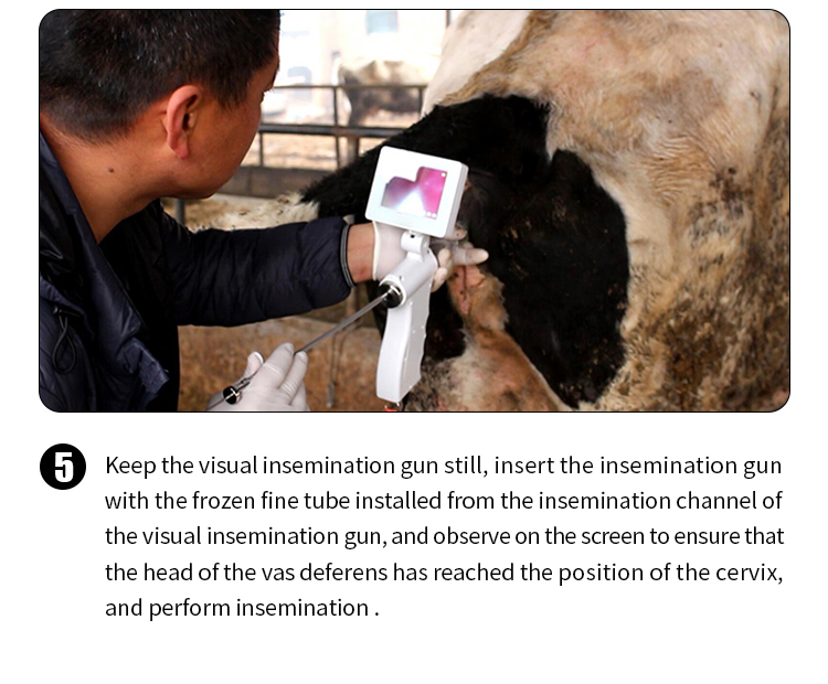 Cattle Visual AI Insemination Gun Cattle Visual AI Insemination Gun