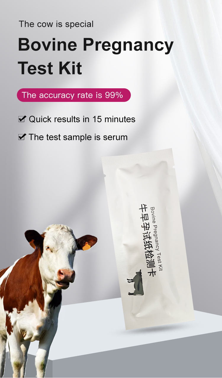 Bovine Pregnancy Test Strip