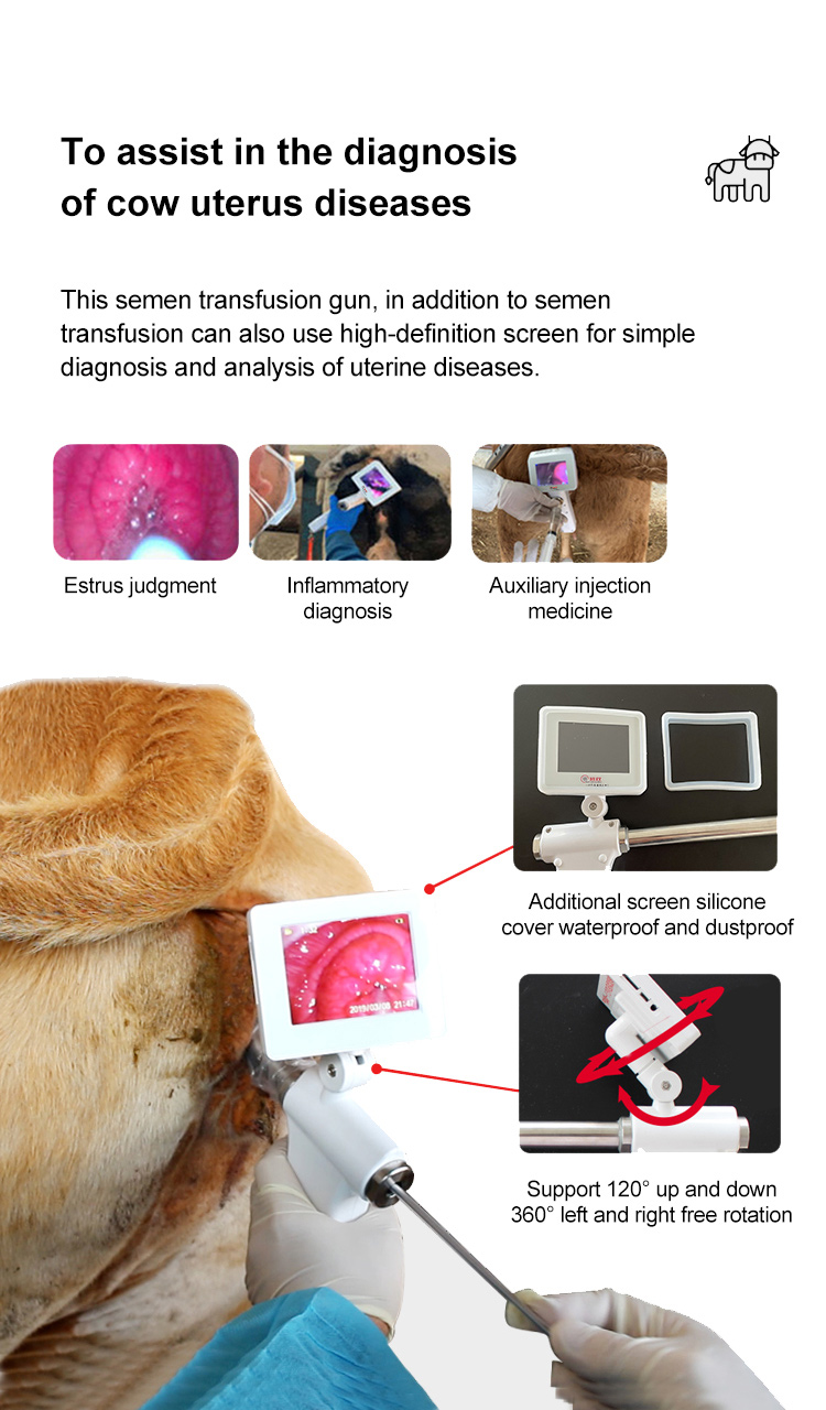 Cattle Visual AI Insemination Gun Cattle Visual AI Insemination Gun