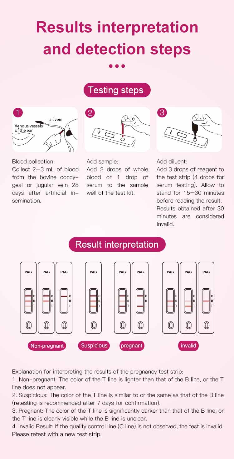 Bovine Pregnancy Test Strip